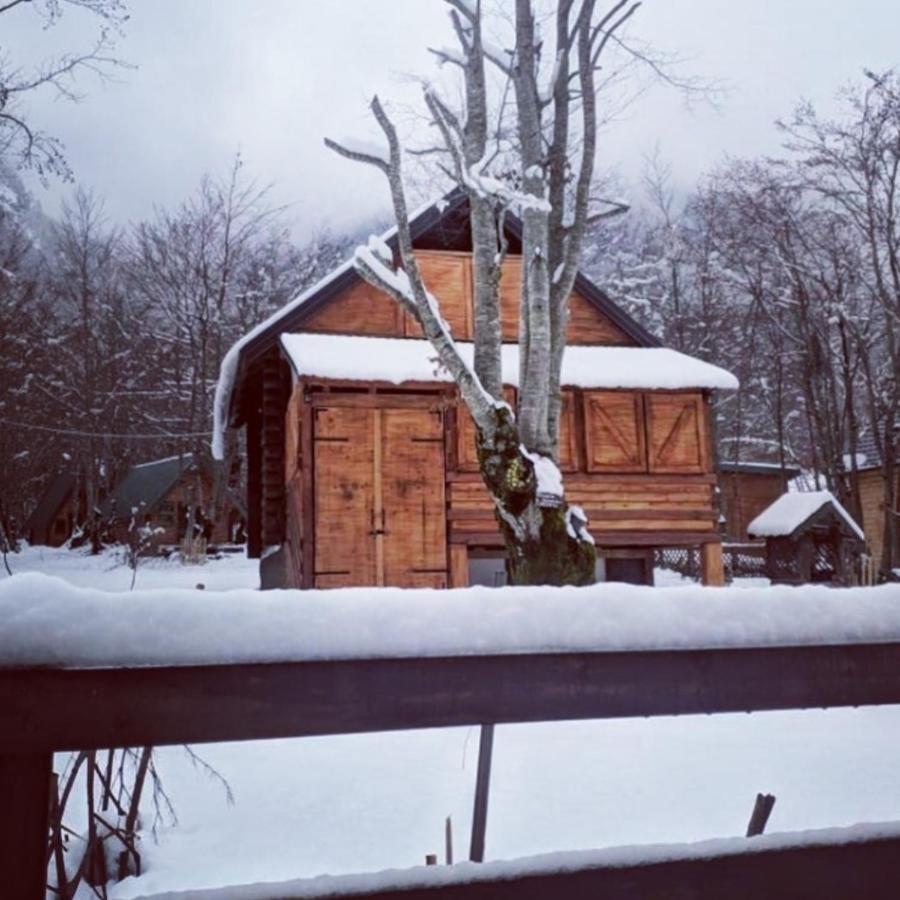 Bungalows Prokletije Gusinje Eksteriør bilde