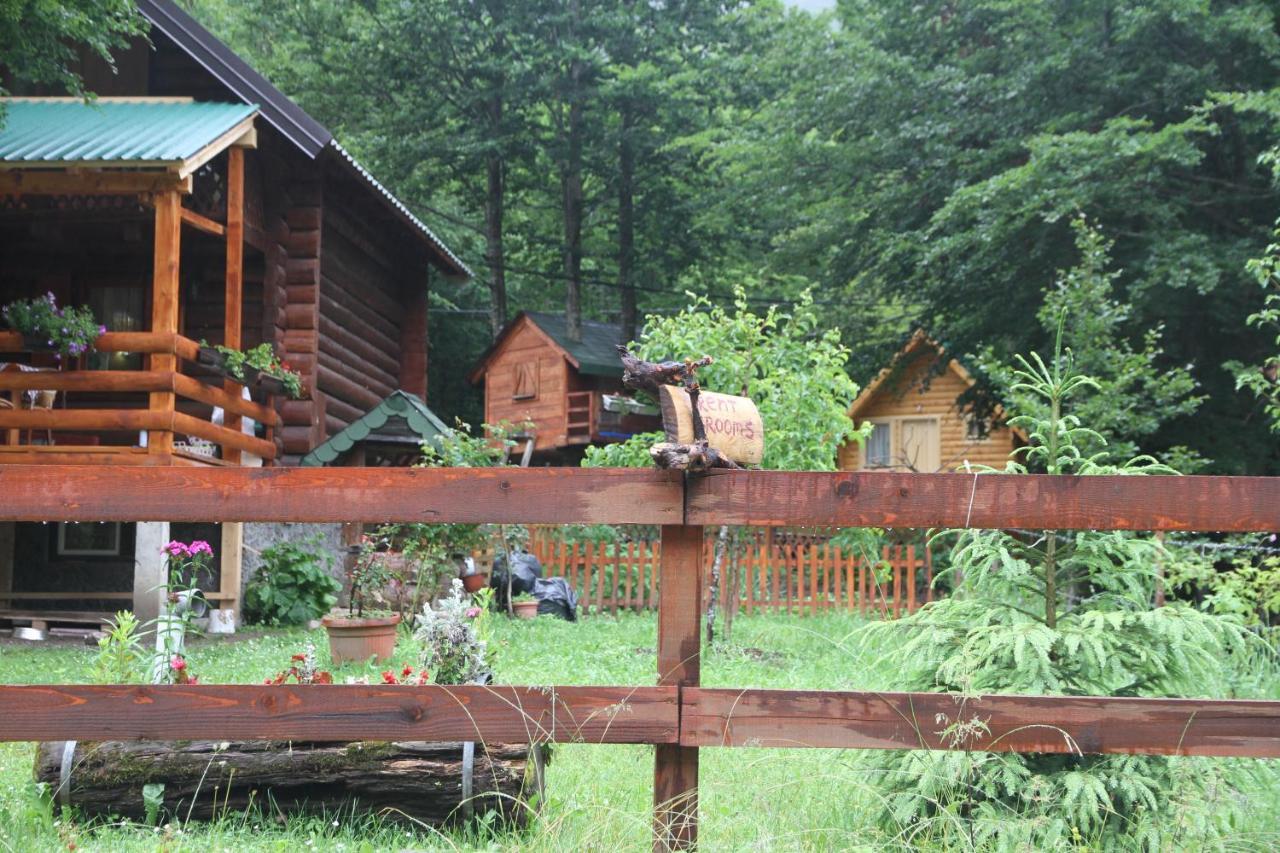 Bungalows Prokletije Gusinje Eksteriør bilde